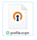 openvpn_share2